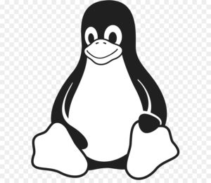 kisspng-tux-linux-kernel-logo-operating-systems-linux-5abe16d206b883.2641227415224071220275